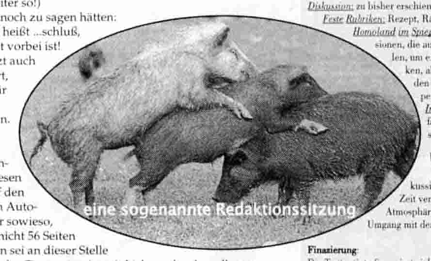 Ausschnitt aus einer Ausgabe: Text: "eine sogenannten Redaktionssitzung", 3 verschiedenfarbige Schweine übereinander